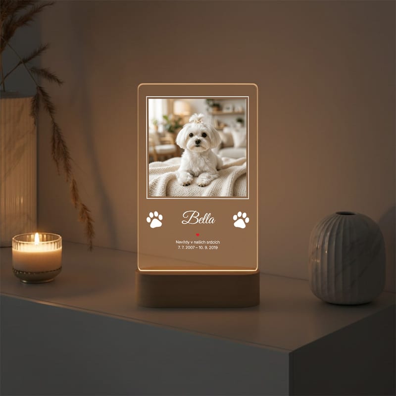 LED lampa s fotografií zlatého retrívra, jménem Rocky a daty